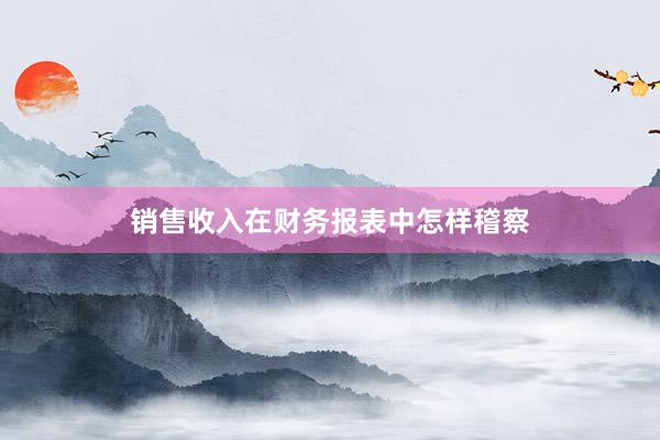 销售收入在财务报表中怎样稽察